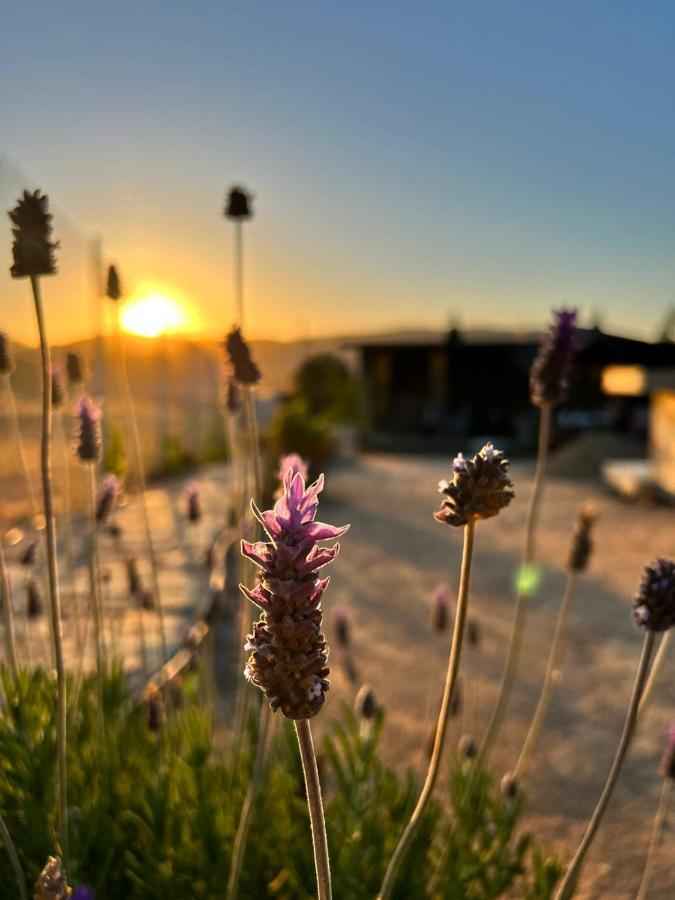 Finca Cazosa Valle de Guadalupe Bagian luar foto